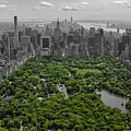 Concrete Jungle