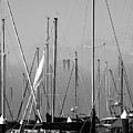 Boats and a Bridge on the Bay