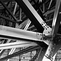 In the Rafters