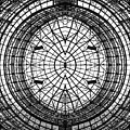 CITY SPIDER WEB